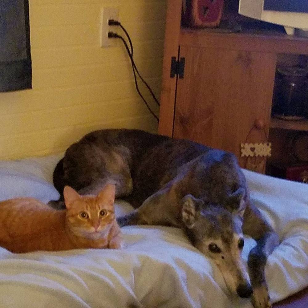 Meet your Posher, Renessa